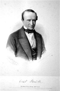Ernst Wilhelm Brücke Litho