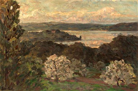 Erwin Starker Bodensee mit Mainau
