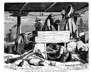 Escenas de la vida del campo en Asturias - El Ravil, en La Ilustración de Galicia y Asturias