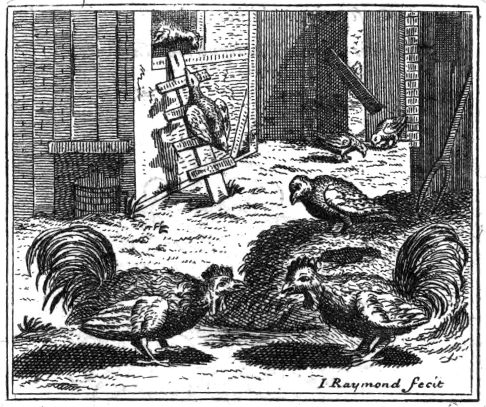 Esope et Philephe - Les Fables, traduction Brunet, 1703 - 0174