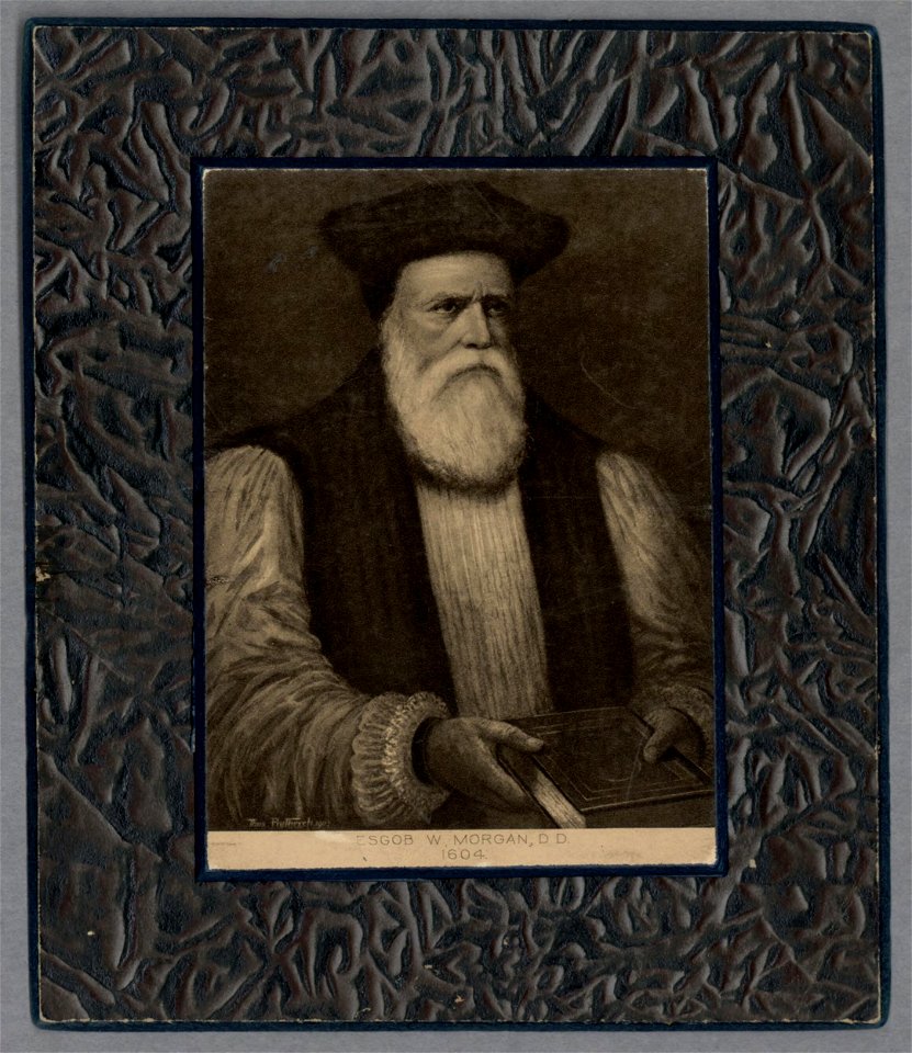 Esgob W. Morgan, D.D. 1604 (5227585)