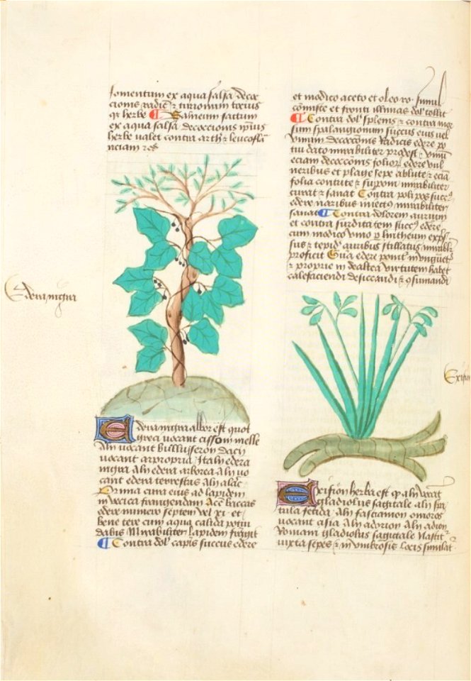 Estense alfa.l.09.28, f.057v