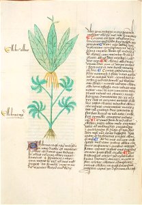 Estense alfa.l.09.28, f.059v