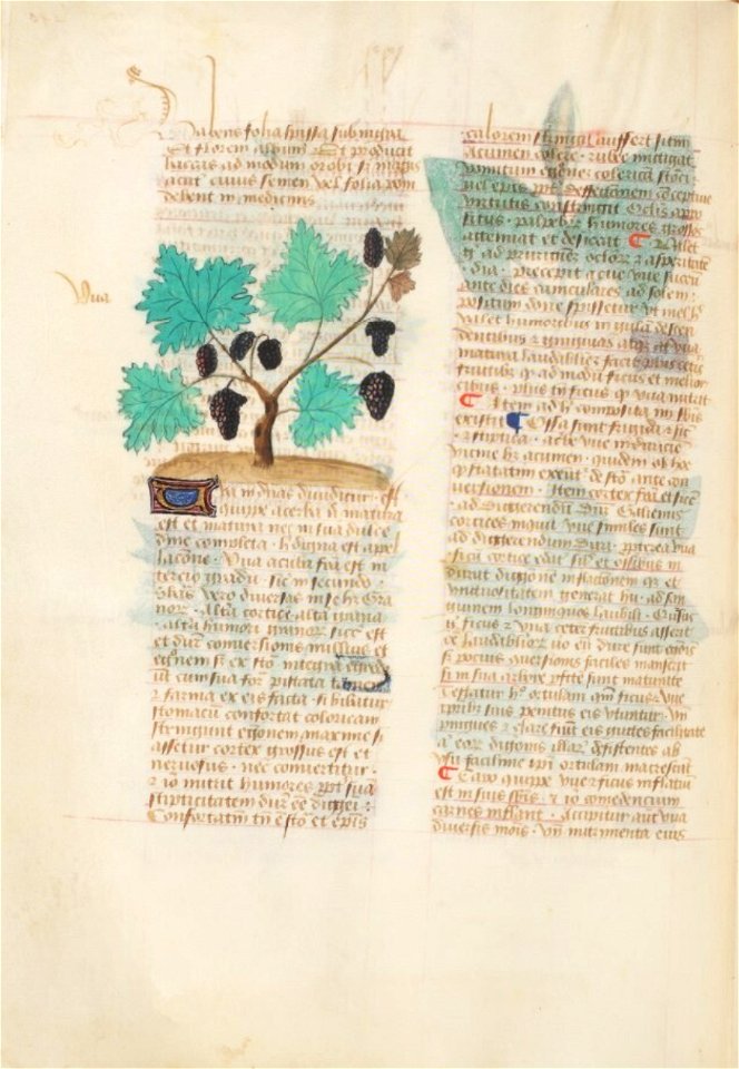 Estense alfa.l.09.28, f.140v