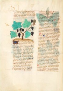 Estense alfa.l.09.28, f.140v