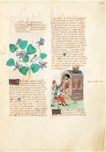 Estense alfa.l.09.28, f.138r