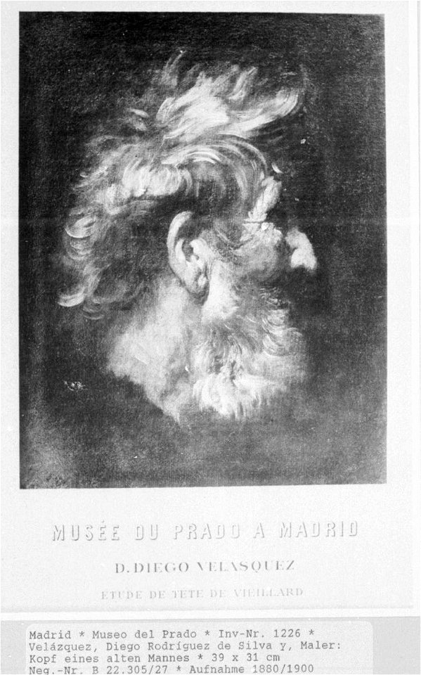 Estudio de cabeza de anciano, by Pier Paolo Bonzi