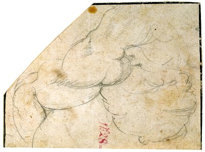 Estudio de hombro derecho, pecho y parte superior de brazo de hombre (Michelangelo)