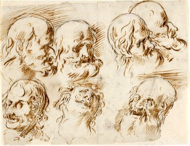 Estudio de siete cabezas masculinas con barba y bigote - Antonio del Castillo