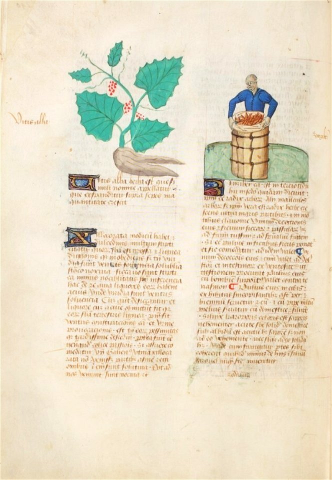 Estense alfa.l.09.28, f.141v