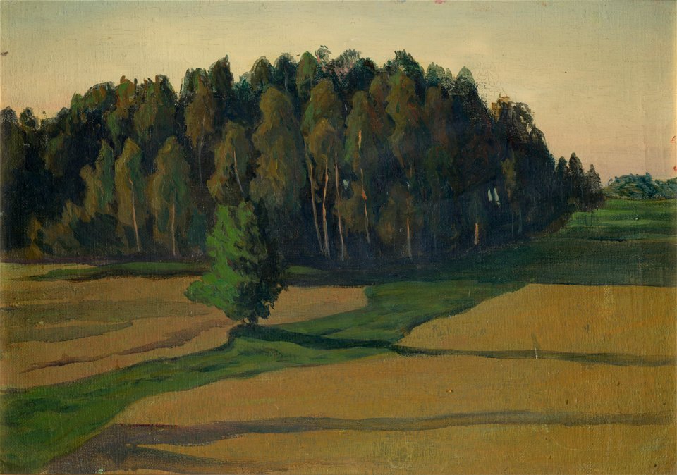 Ester Almqvist Field and Forest Thielska 12c