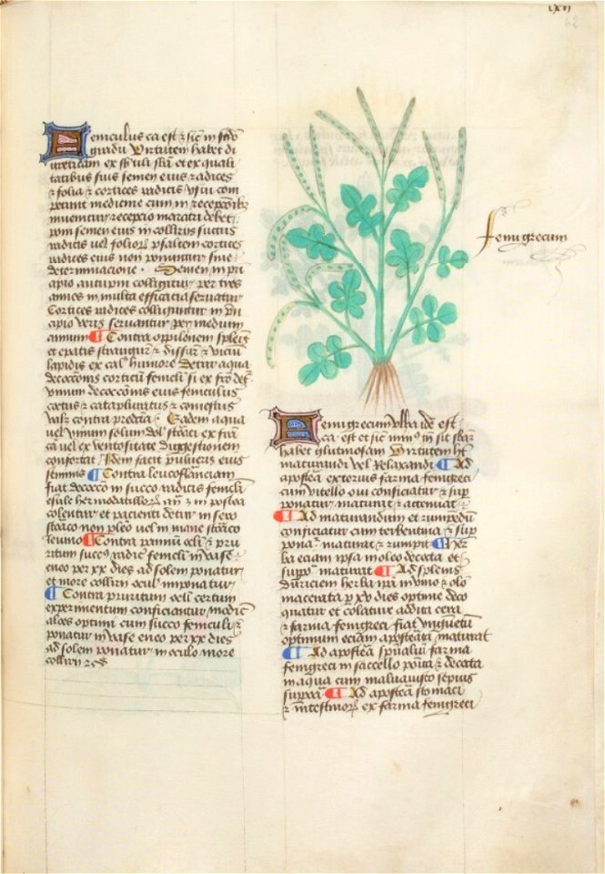 Estense alfa.l.09.28, f.062r