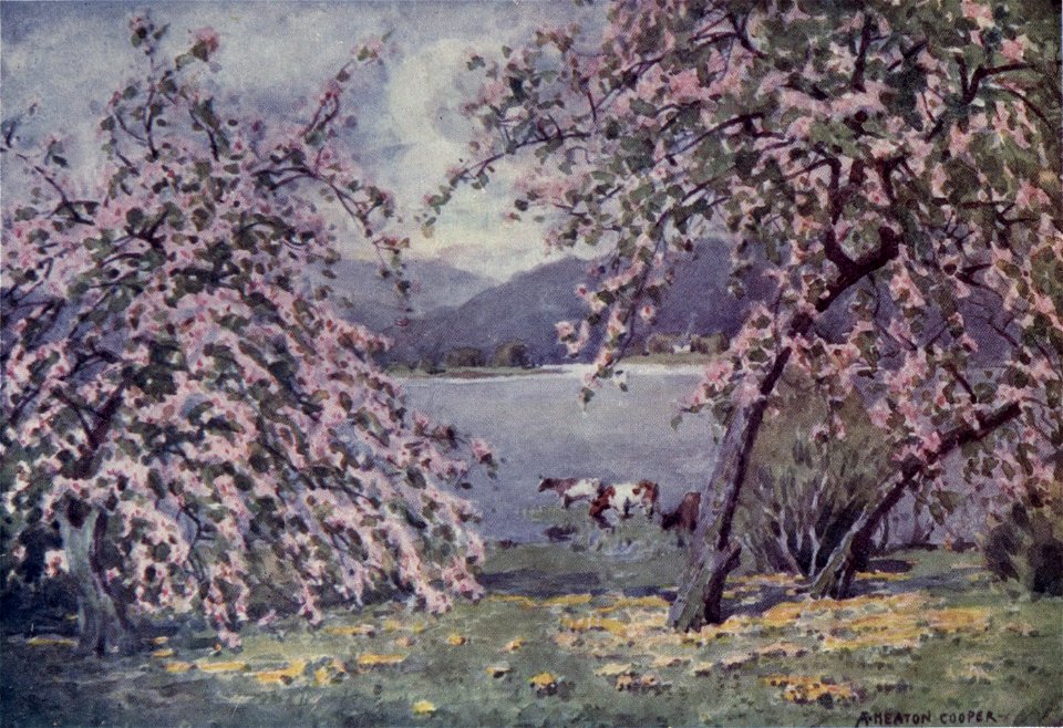 Esthwaite Water - The English Lakes - A. Heaton Cooper