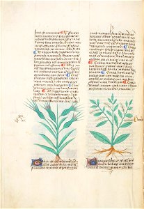 Estense alfa.l.09.28, f.068v