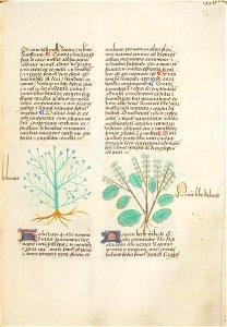Estense alfa.l.09.28, f.072r