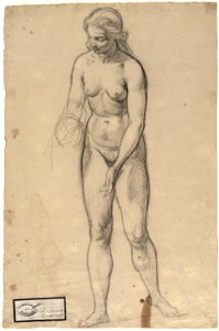 Estudio de desnudo femenino (Rosales)