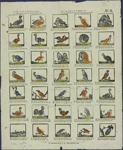 Gevogelten in soort zal deze plaat u toonen! Uit buitenlandsch gewest, of die alhier ook wonen-Catchpenny print-SMC K 0029