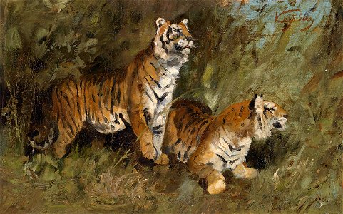 Geza Vastagh Tiger im hohen Gras