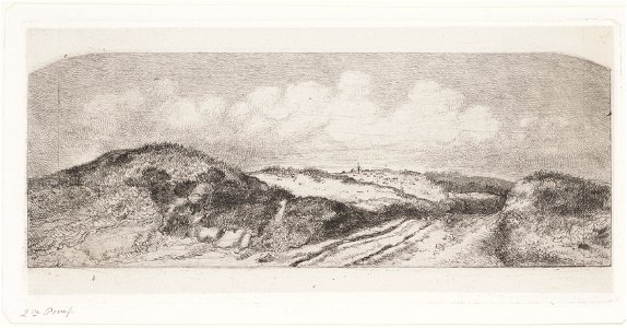 Gezicht op Wassenaar vanuit de duinen, objectnr A 12264