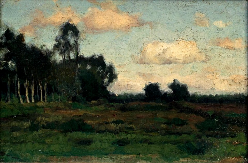 Gezicht op de heide bij Rolde Centraal Museum 7634 020