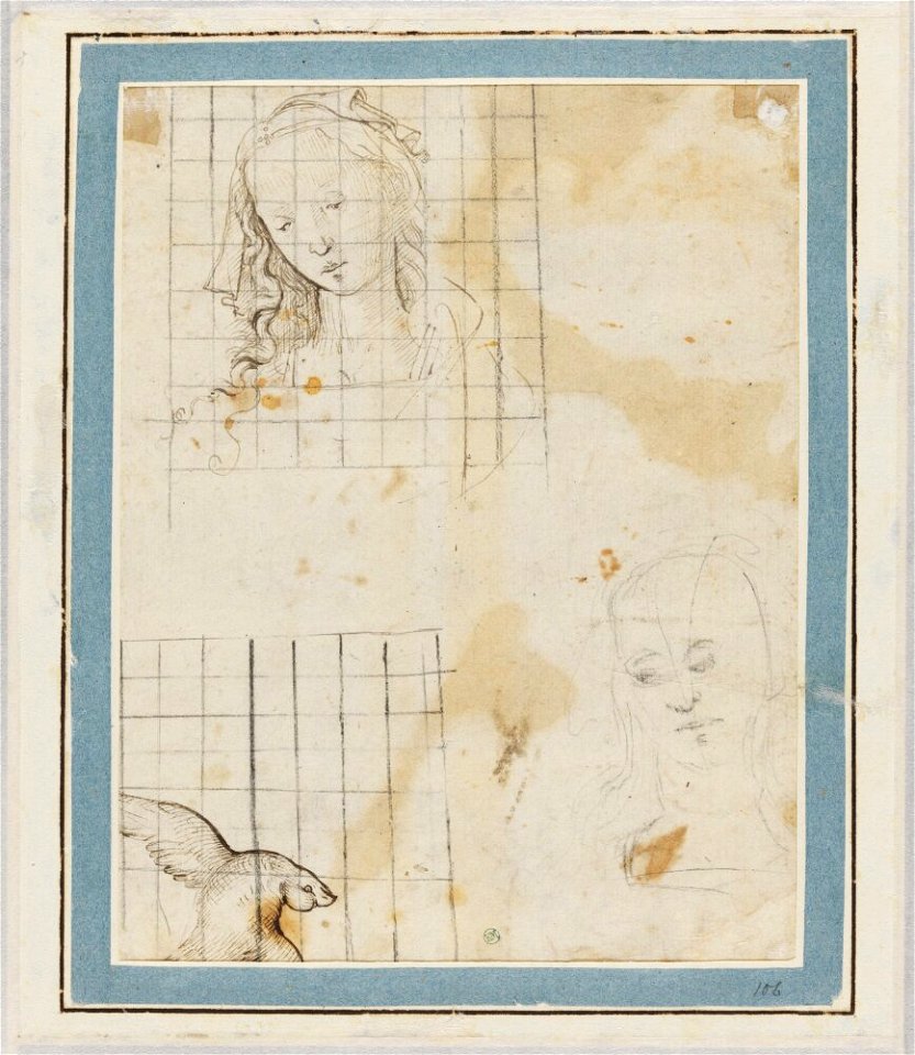 Ghirlandaio - Attributed to - Head of a young woman, repeated, and a flying dove, NMH 1061863