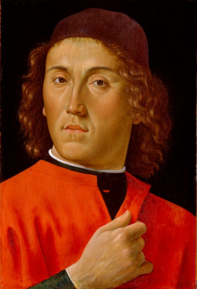 Domenico Ghirlandaio - Young Man - 53.468 - Detroit Institute of Arts