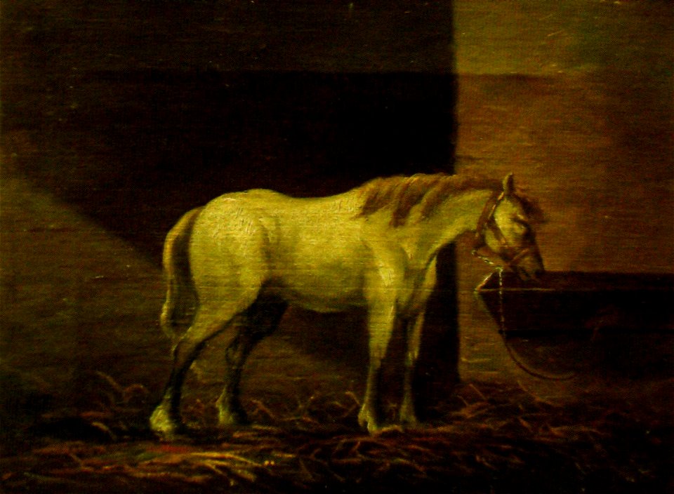 Gheorghe Tattarescu - Cal in grajd