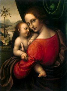 Giampietrino - Madonna with Child - WGA08954. Free illustration for personal and commercial use.