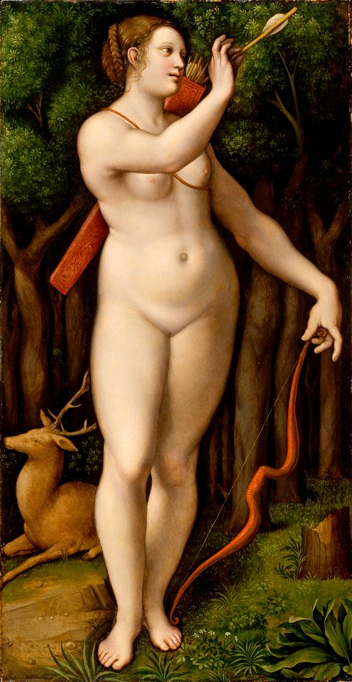Giampietrino 05