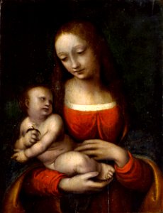 Gian Pietro Rizzi called Giampietrino - The Virgin and Child Icosidodecahedron - Google Art Project