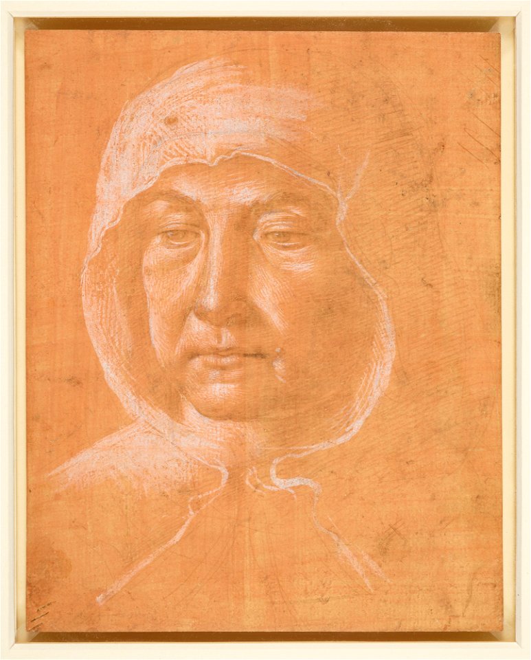 Ghirlandaio - The head of an old woman c.1485-90, RCIN 912804