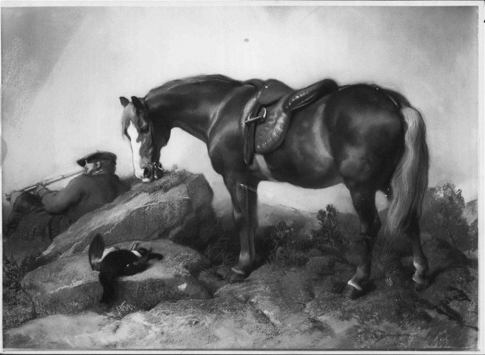 Gilbert Sprague (1811-75) - Brechin - RCIN 405457 - Royal Collection