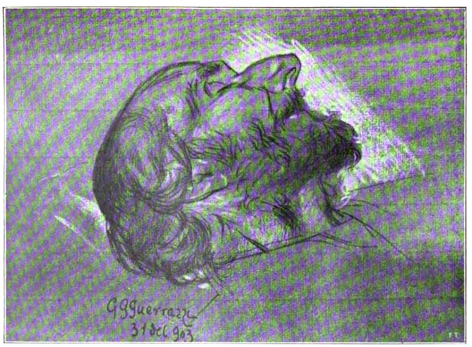 Gian Gualberto Guerrazzi. Nino Costa sul letto di morte