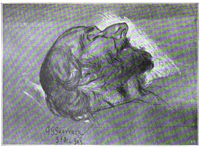 Gian Gualberto Guerrazzi. Nino Costa sul letto di morte