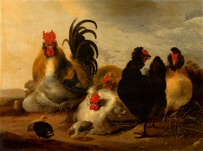 Gijsbert Gillisz d' Hondecoeter - Cock and Hens in a Landscape - 627 - Mauritshuis. Free illustration for personal and commercial use.