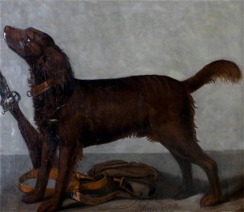 Gilbert Coventry (c.1688-1719) (attributed to) - 'Rover' - 353151 - National Trust