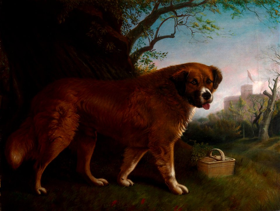 Gilbert Sprague (1811-75) - Maurice - RCIN 406337 - Royal Collection