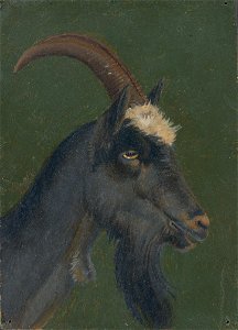 Christian Friedrich Gille - Ziegenkopf