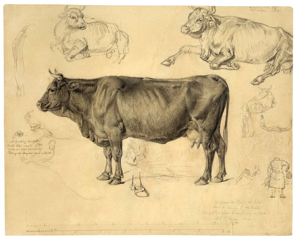 Christian Friedrich Gille Rinderstudien