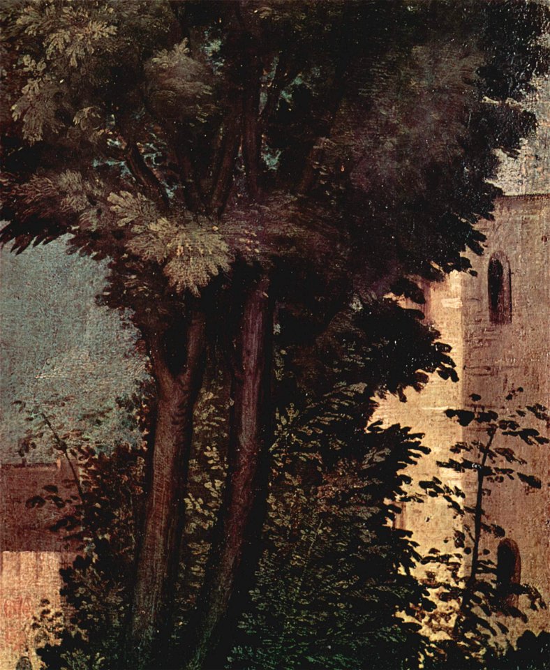Giorgione 024