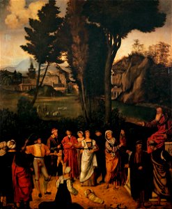 Giorgione, giudizio di salomone