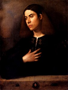 Giorgione, Portrait of a Youth (maybe Antonio Broccardo). Free illustration for personal and commercial use.