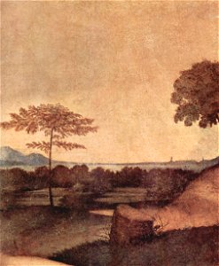 Giorgione 055