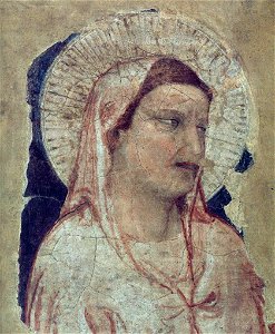 Giotto di Bondone - Virgin Mourning - WGA09362