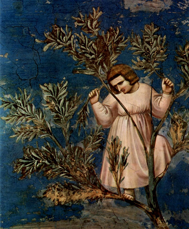 Giotto di Bondone 014