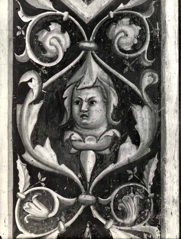 Giotto di Bondone, Motivi decorativi a girali vegetali e putti, 12147 gw