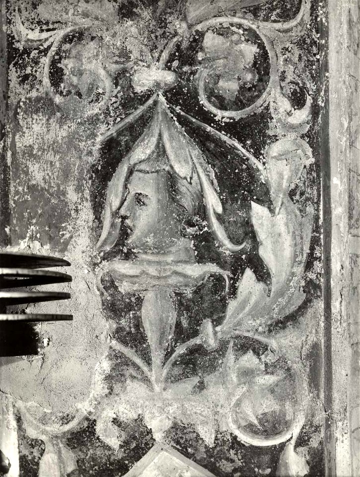 Giotto di Bondone, Motivi decorativi a girali vegetali e putti, 12151 gw