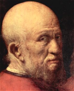 Giorgione 028