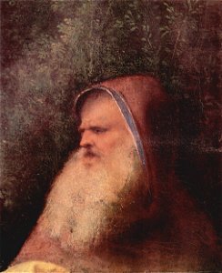 Giorgione 031