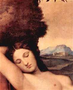 Giorgione 056
